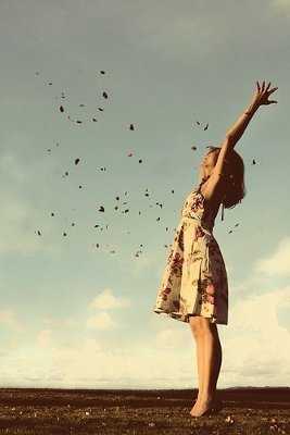 libre